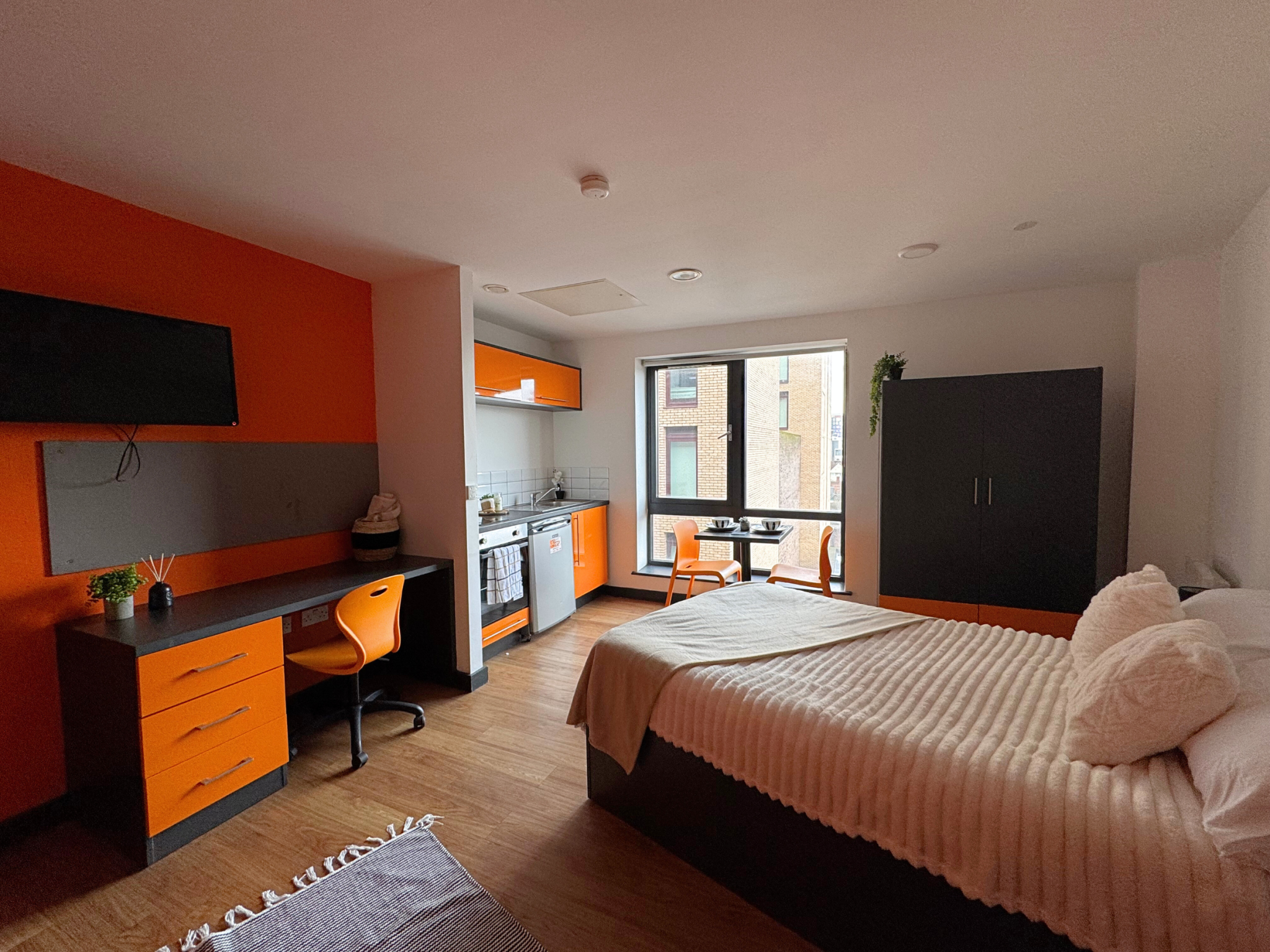 Artesian Accessible Studio