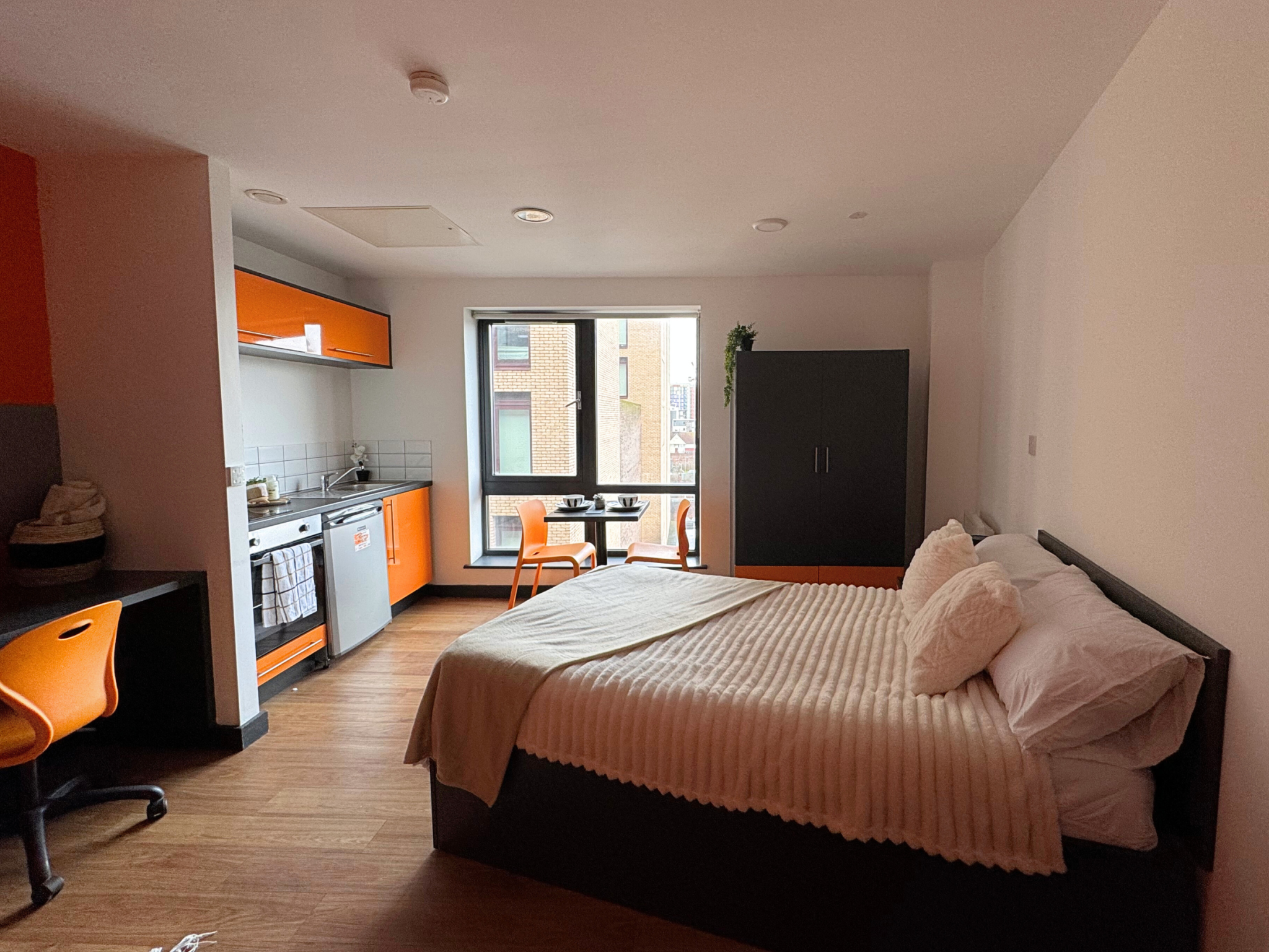 Artesian Accessible Studio
