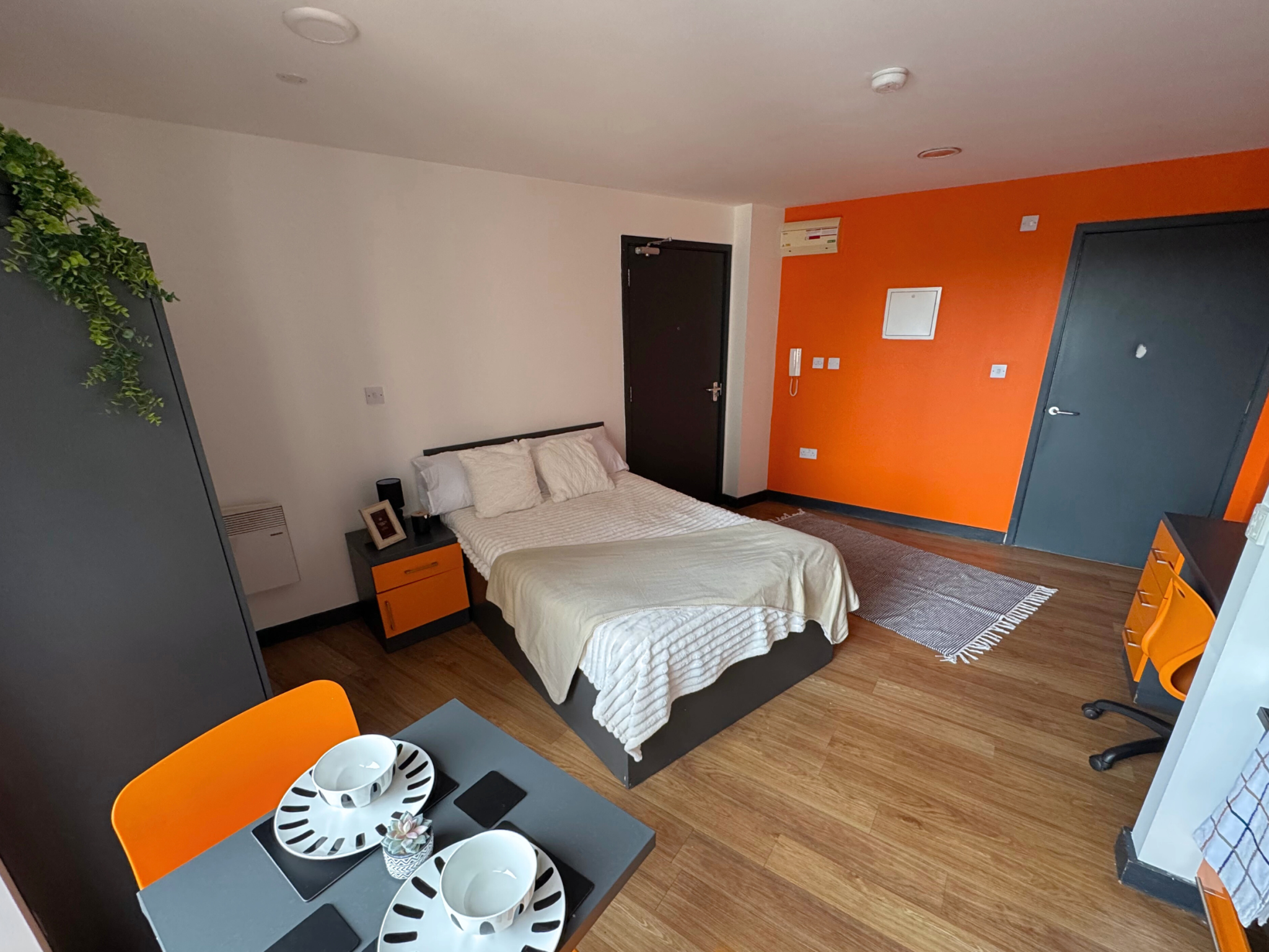 Artesian Accessible Studio Room