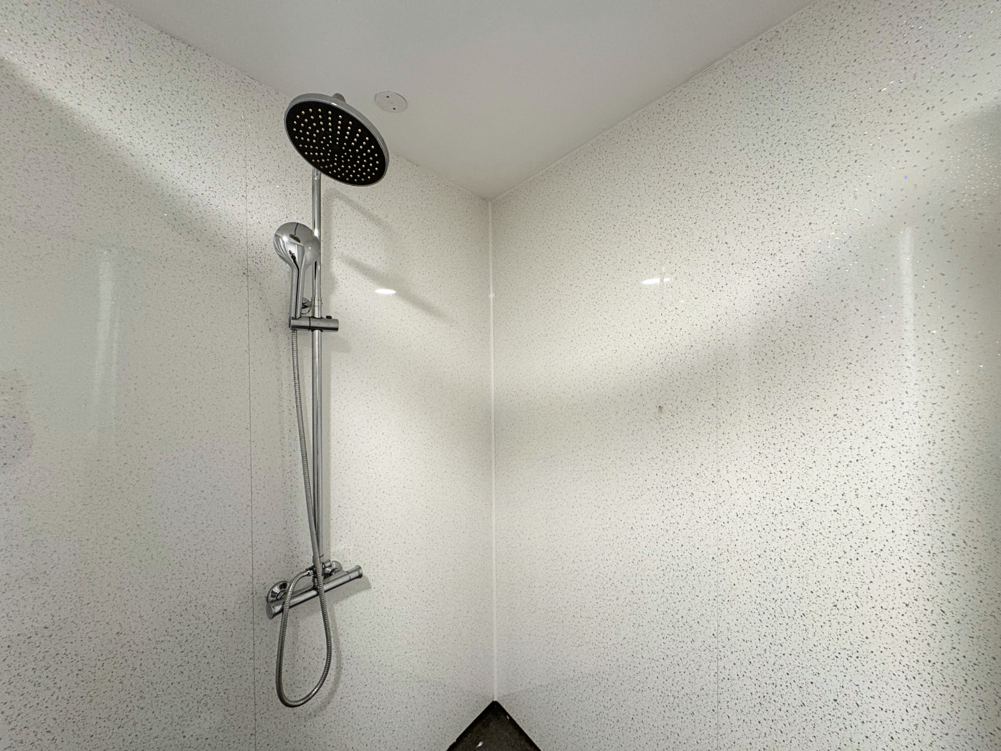 Artesian Accessible Studio Shower